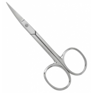 Common Scissor
