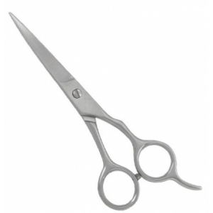 Hair Cutting Shears