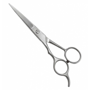 Hair Cutting Shears