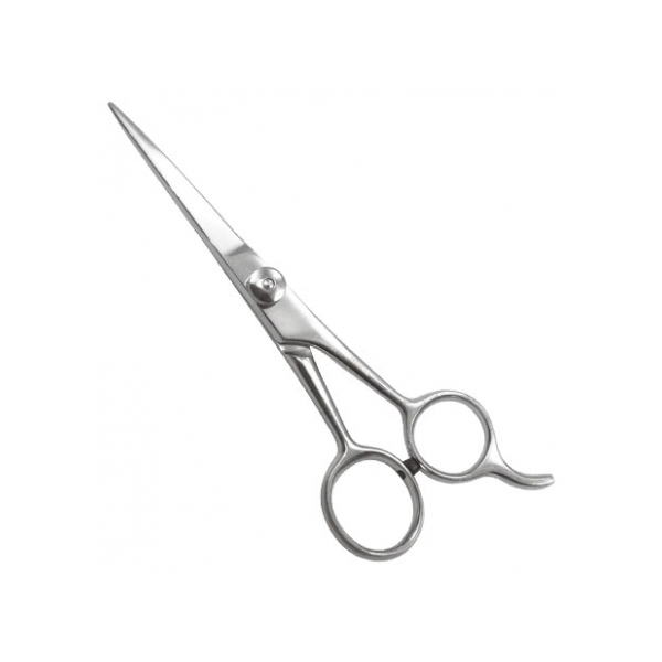 Hair Cutting Shears