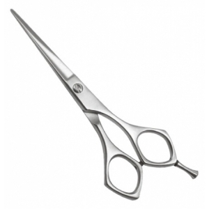 Hair Cutting Shears