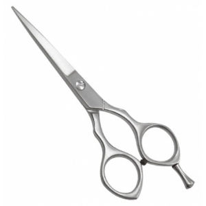 Hair Cutting Shears
