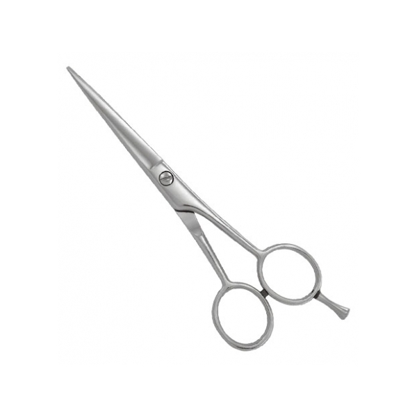 Professional Razor Shears