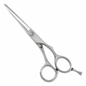 Professional Razor Shears