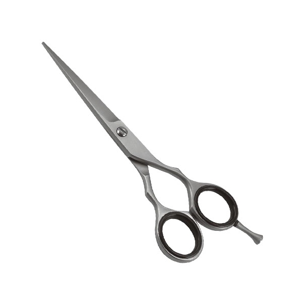 Professional Razor Shears