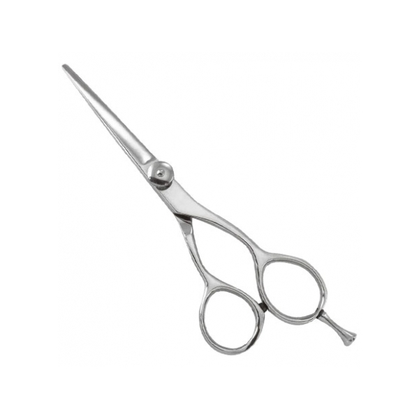 Professional Razor Shears
